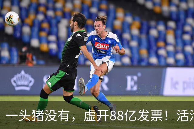 一头猪没有，虚开88亿发票！活活套走国企6000万