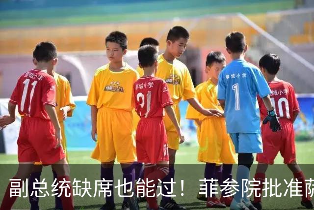 副总统缺席也能过！菲参院批准萨拉 7.852 亿预算：全是政坛面子