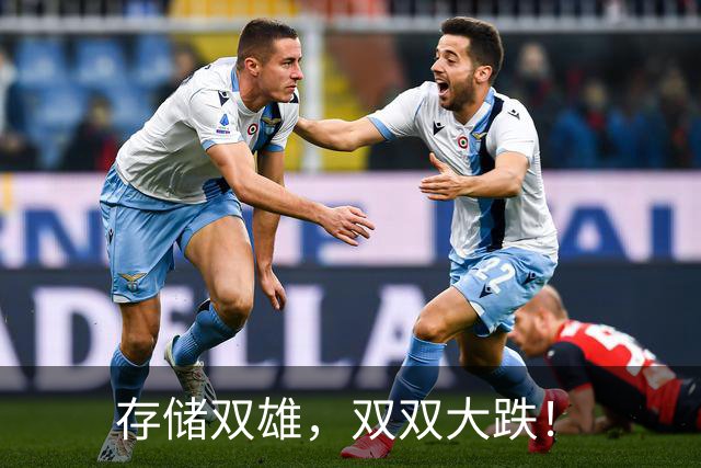 存储双雄，双双大跌！