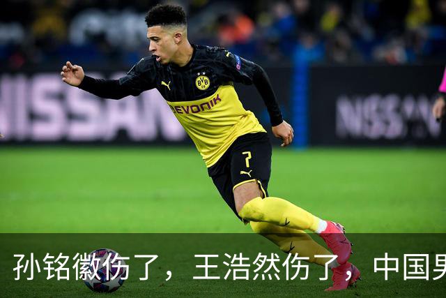孙铭徽伤了，王浩然伤了，中国男篮即将集训，郭士强面临选人难题