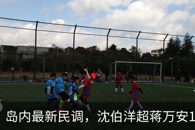 岛内最新民调，沈伯洋超蒋万安17%，外界讽：都是赵少康的'功劳'