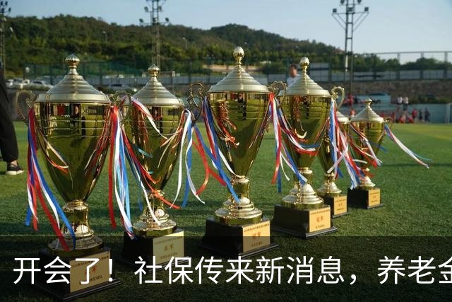 开会了！社保传来新消息，养老金、缴费都有说