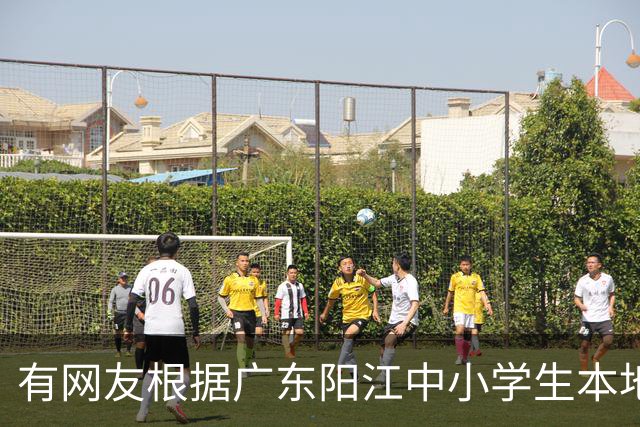 有网友根据广东阳江中小学生本地话交流1%，预测20年阳江话消亡