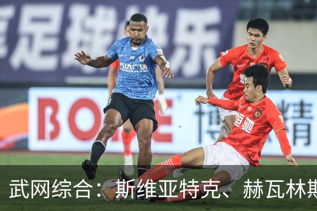 武网综合：斯维亚特克、赫瓦林斯卡半决赛将上演“波兰德比”