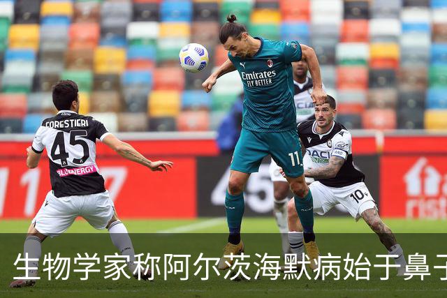生物学家称阿尔茨海默病始于鼻子，研究指向感染与污染颗粒