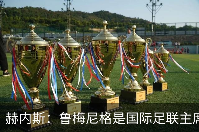 赫内斯：鲁梅尼格是国际足联主席的理想人选