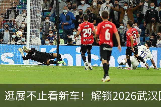逛展不止看新车！解锁2026武汉国际车展的N种打开方式