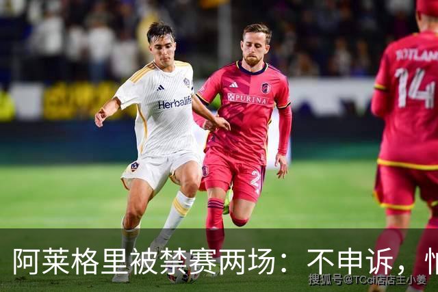 阿莱格里被禁赛两场：不申诉，怕变成四场
