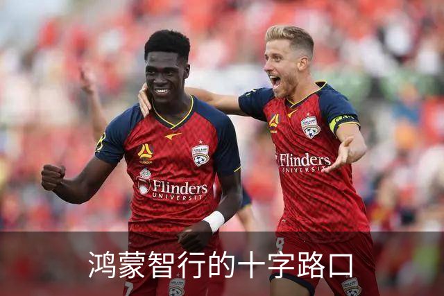 鸿蒙智行的十字路口